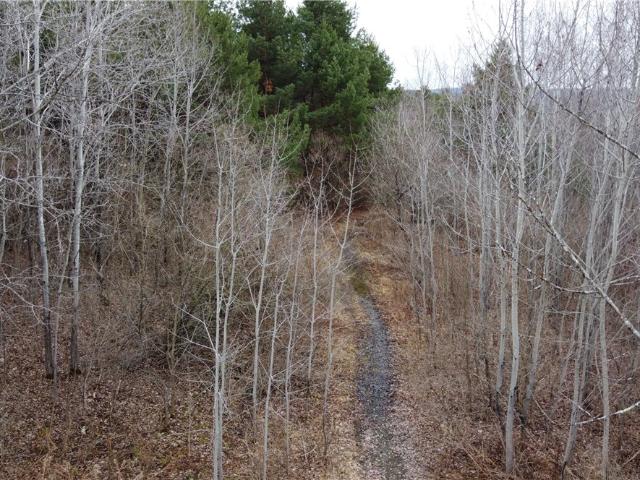 Land for sale in Spencer, New York
