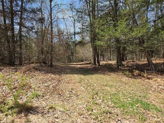 Land for sale in Callicoon, New York
