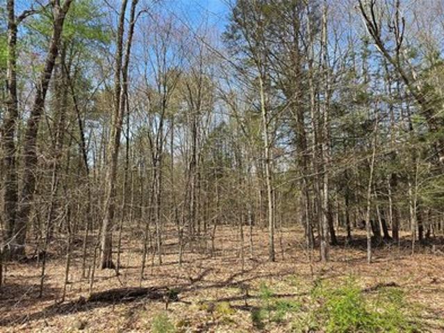 Land for sale in Callicoon, New York