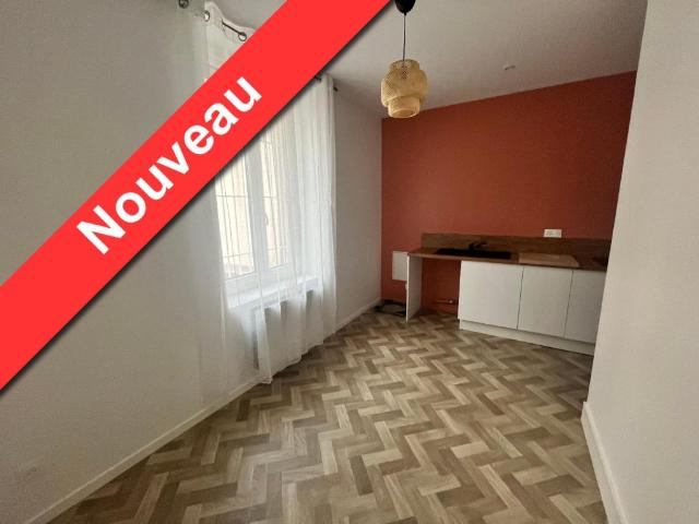Appartement location à Saint-Étienne, Saint-etienne