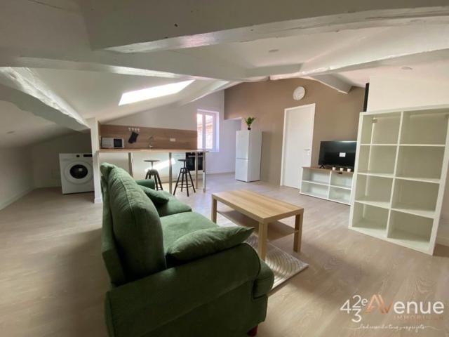 Appartement location à Saint-Étienne, Saint-etienne