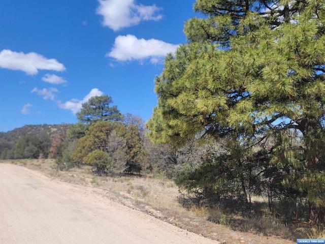 Land for sale in Silver City, New Mexico