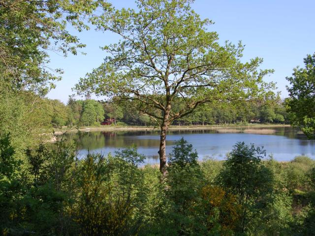 Grund til salg i Brønderslev-Dronninglund