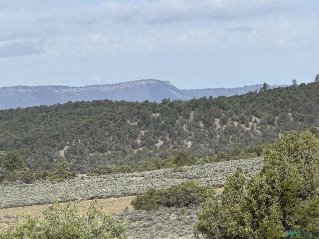 Land for sale in Los Ojos, New Mexico