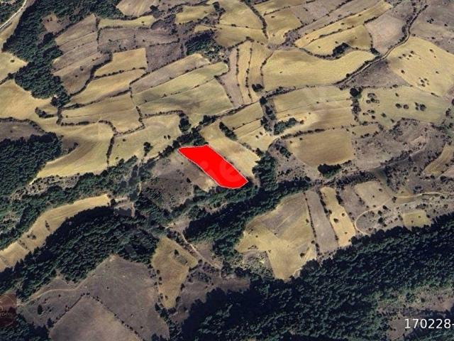 Paşacık, Banaz içerisinde satılık Arsa