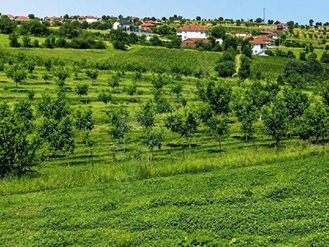 Eşme, Uşak içerisinde satılık Arsa