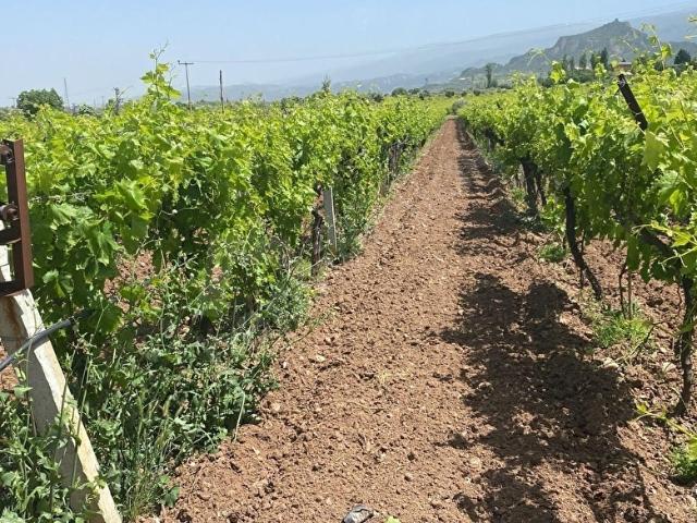 Salihli, Manisa içerisinde satılık Arsa