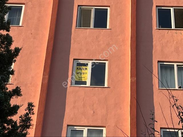 Uşak Merkez, Uşak içerisinde kiralık mülk