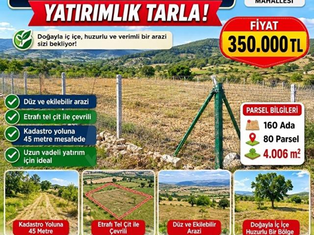 Büyük Kayalı, Ulubey içerisinde satılık Arsa