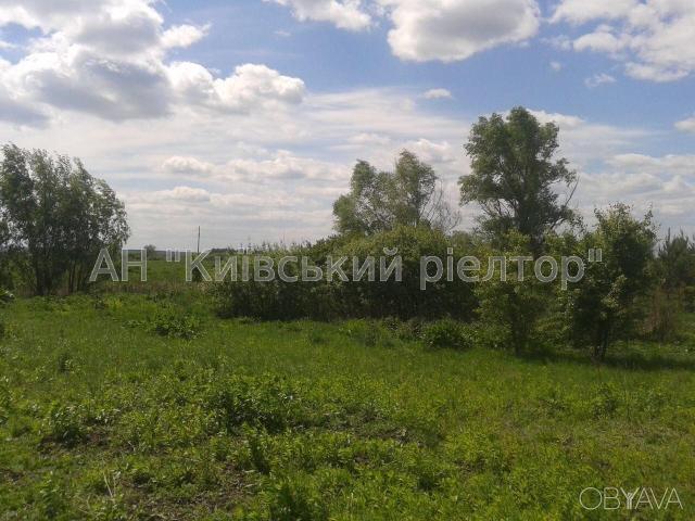 Участок аренда в Рожнях, Винницкой области