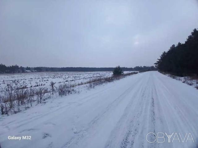 Участок аренда в Полтавской области