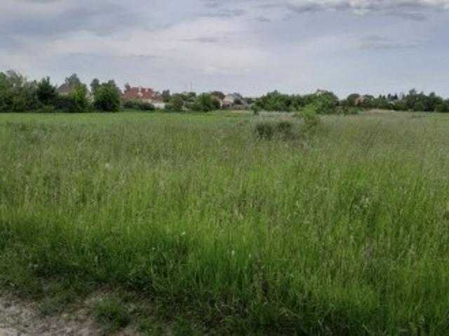 Участок аренда в Сингурах