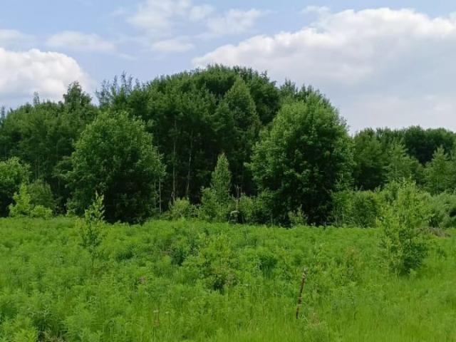 Участок продажа в Кемеровская область