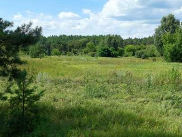 Участок аренда в Остере, Черновицкой области