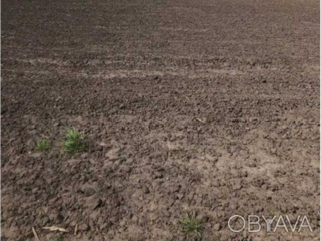 Участок аренда
