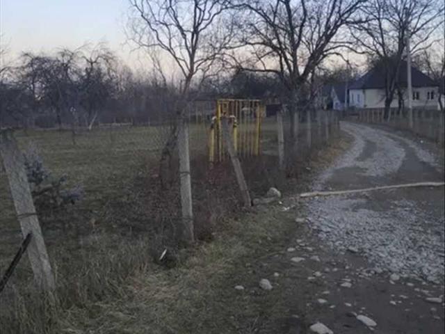 Участок аренда в Заломе, Закарпатской области