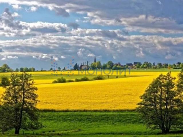 Участок продажа в Арапово, Богородский муниципальный округ