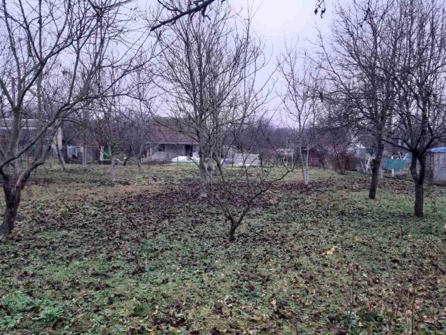 Участок продажа в Бобровице, Черновицкой области