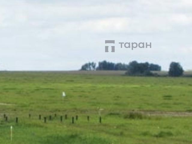 Участок продажа в Большие Харлуши, Сосновский район