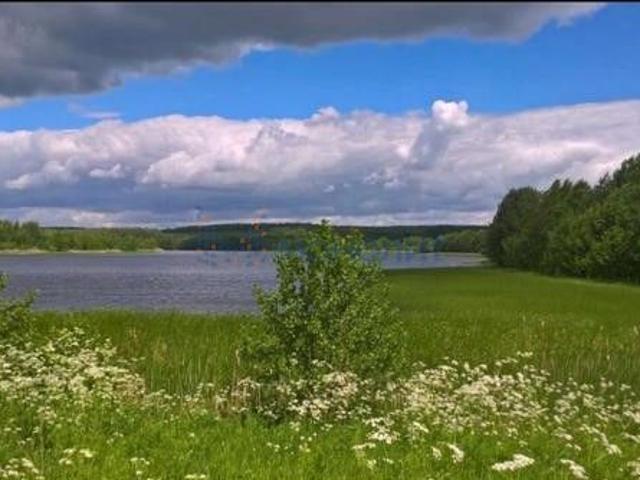 Участок продажа в Владимирская область