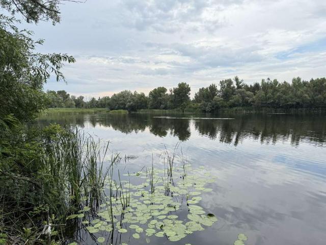 Участок продажа в Могилеве, Тернопольской области