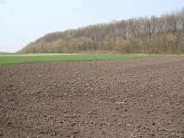 Участок продажа в Циркунах, Донецкой области