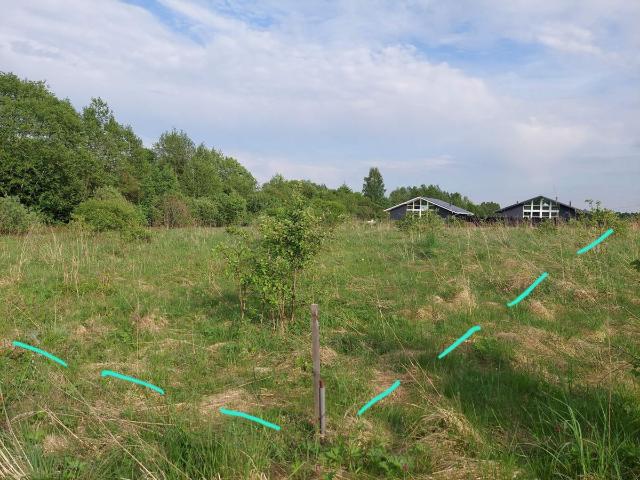 Участок продажа в Ваулино, Псковский район