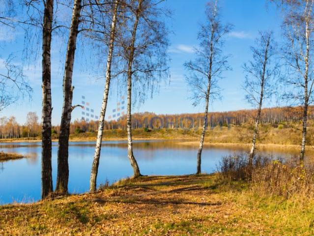 Участок продажа в Швариха, Богородский муниципальный округ