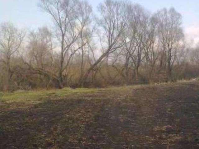 Участок продажа в Дударків, Бориспільський район
