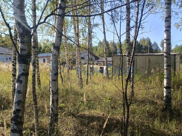 Участок продажа в Елховка Д, Тыва Республика