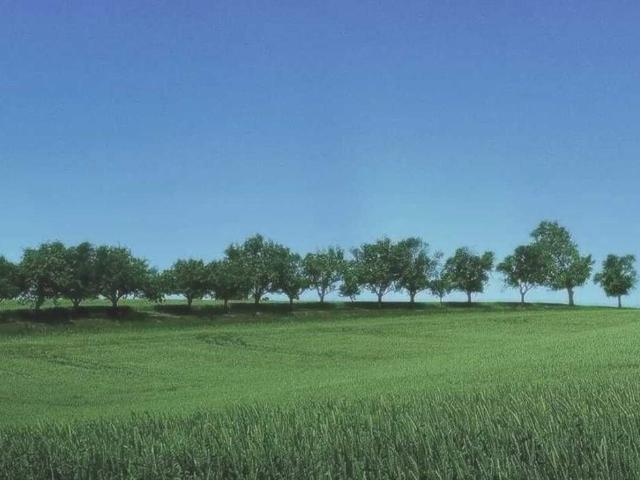 Участок продажа в Черниговке, Тернопольской области