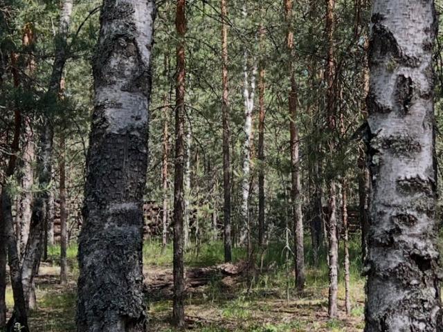 Участок продажа в Тыва Республика