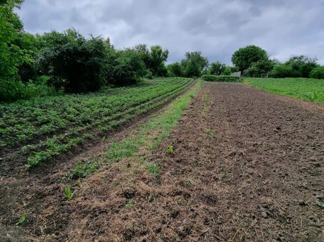 Участок продажа в Романкове