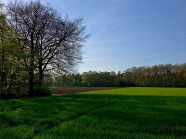 Участок продажа в Чубинском, Винницкой области