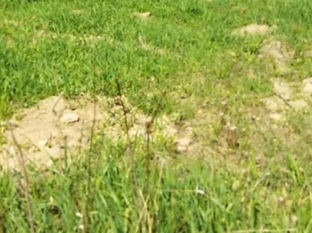 Участок продажа в Виннице