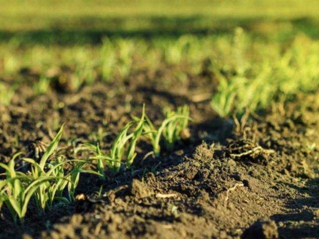 Участок продажа в Виннице