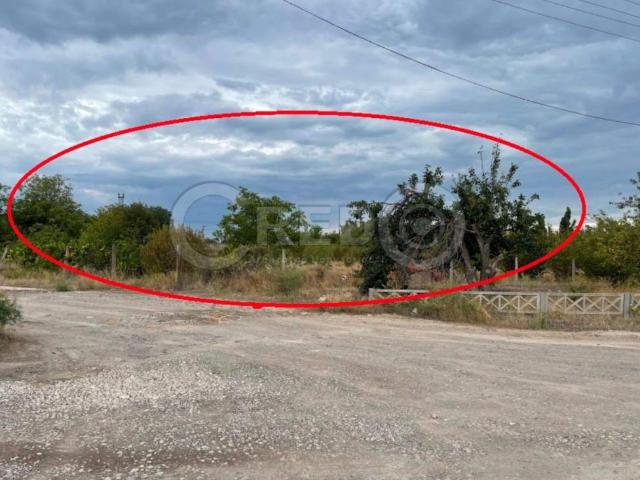 Участок продажа в Кривом Роге, Тернопольской области