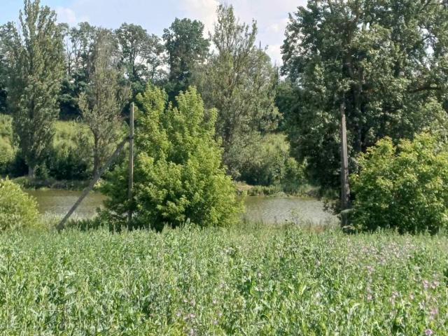 Участок продажа в Виннице