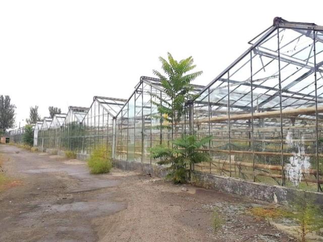 Участок продажа в Великодолинском, Днепропетровской области