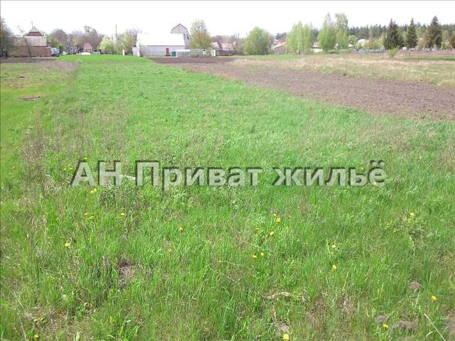 Участок продажа в Полтавской области