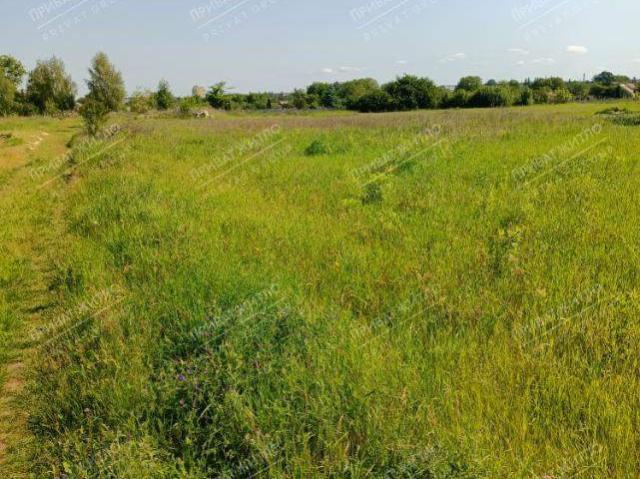 Участок продажа в Полтавской области