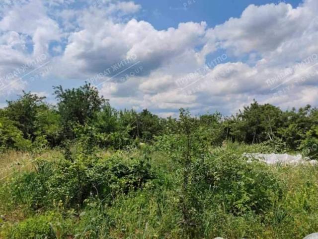 Участок продажа в Полтавской области