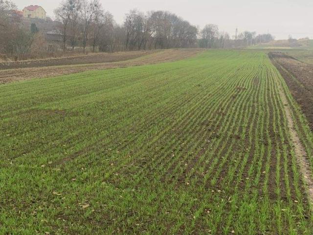 Участок продажа в Ровно