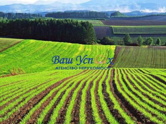 Участок продажа в Великом Омелянике