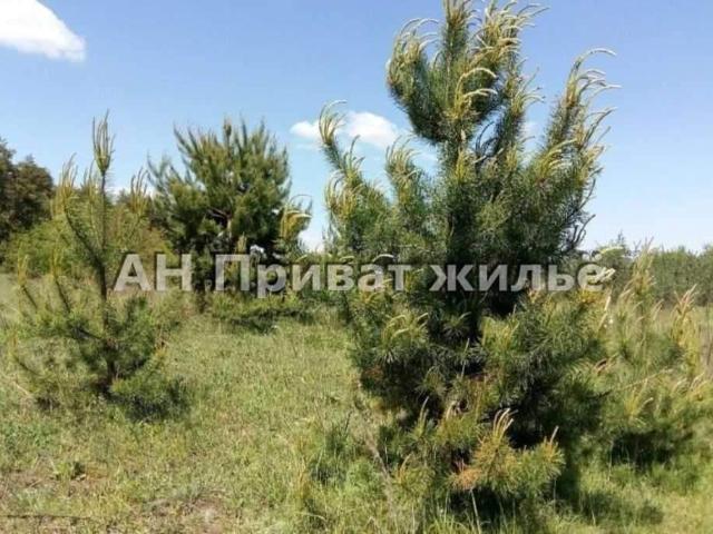 Участок продажа в Полтавской области