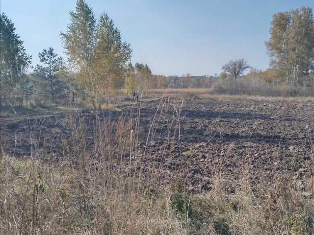Участок продажа в Полтавской области