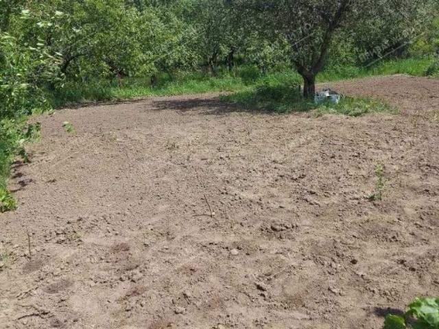 Участок продажа в Полтавской области