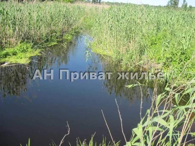 Участок продажа в Полтавской области