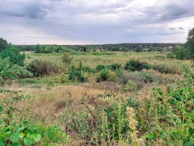 Участок продажа в Полтавской области
