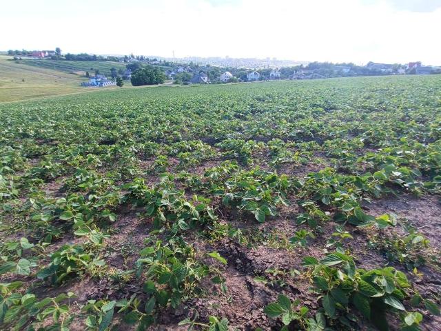 Участок продажа в Ровно